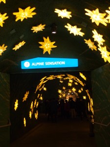 暗いからブレブレ