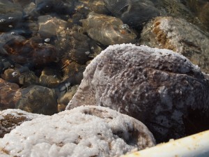 死海の塩