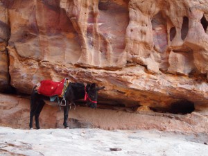 ベドウィンタクシー