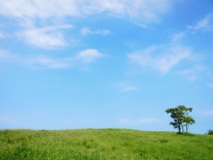 空と草原