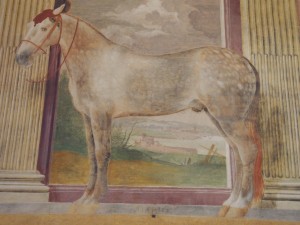 描かれている馬のサイズは実物大らしい。高い位置にあるのでそんなカンジしない。