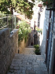 塀の上では猫が昼寝中