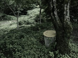 森の中のゴミ箱