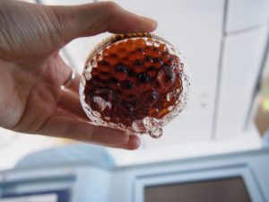 ウルティマツーレの底