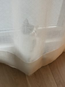 猫とカーテン