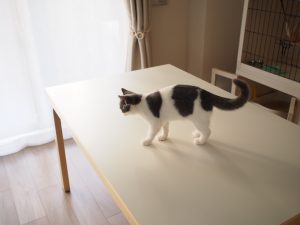 アルテックのテーブル