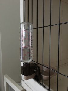 ウォーターディッシュ