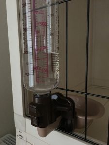 リッチェル・ウォーターディッシュ