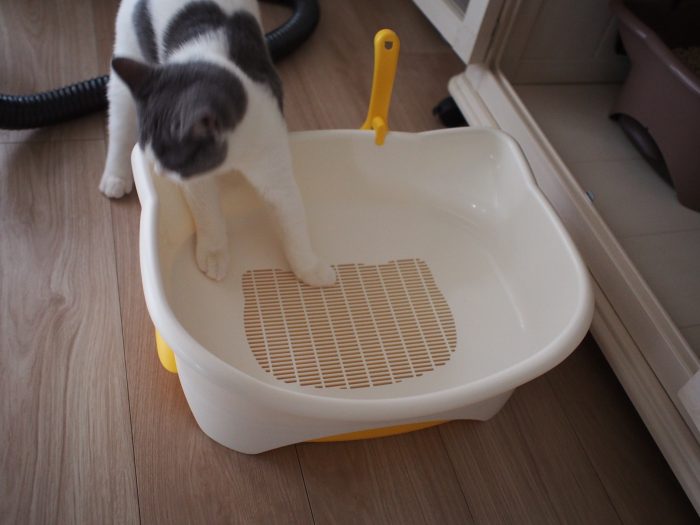 猫のトイレ
