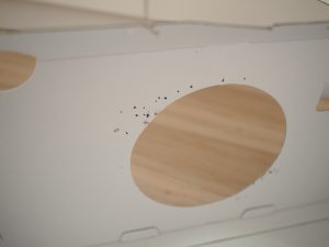 段ボールハウス