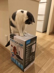 猫とカリカリマシーン