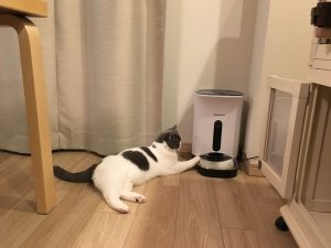 カリカリマシーン