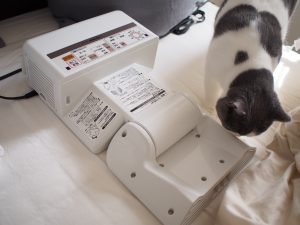 猫と布団乾燥機