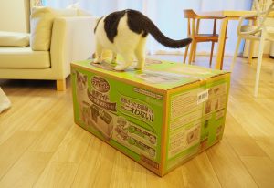 デオトイレ快適