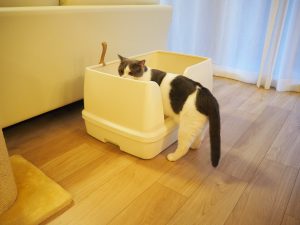 デオトイレ快適ワイド