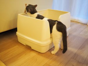 デオトイレ快適ワイド