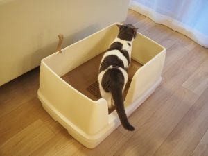 デオトイレ快適ワイド