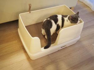 デオトイレ快適ワイド