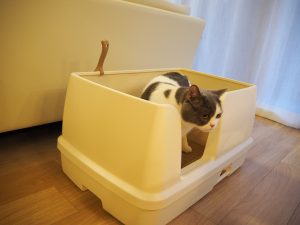 デオトイレ快適ワイド