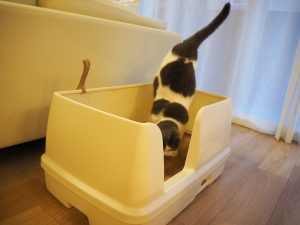 デオトイレ快適ワイド