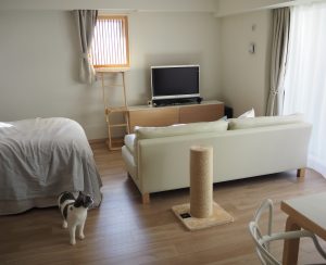 リビングダイニング