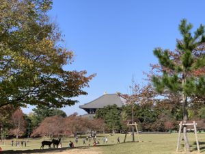 東大寺