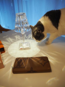 ルイ・ヴィトン