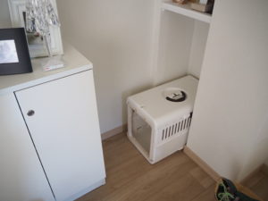 キャリーケース