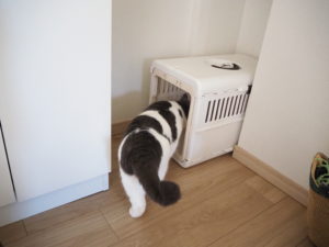 キャリーケース