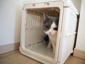 キャリーケース