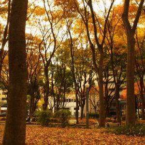 久屋大通パーク