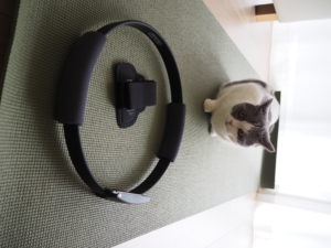 リングフィットアドベンチャー