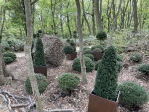 ニコライ・バーグマン