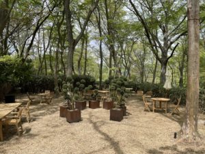 ニコライ・バーグマン