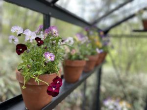 ニコライ・バーグマン