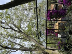 ニコライ・バーグマン