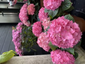 ニコライ・バーグマン