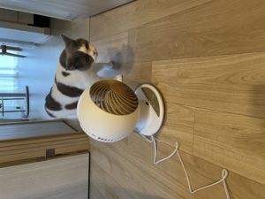 サーキュレーター