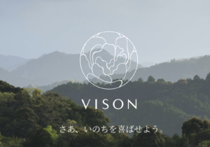 VISON