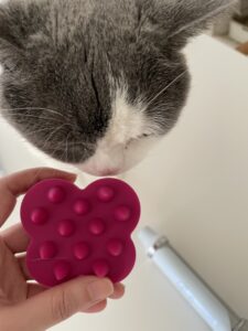 スカルプブラシ